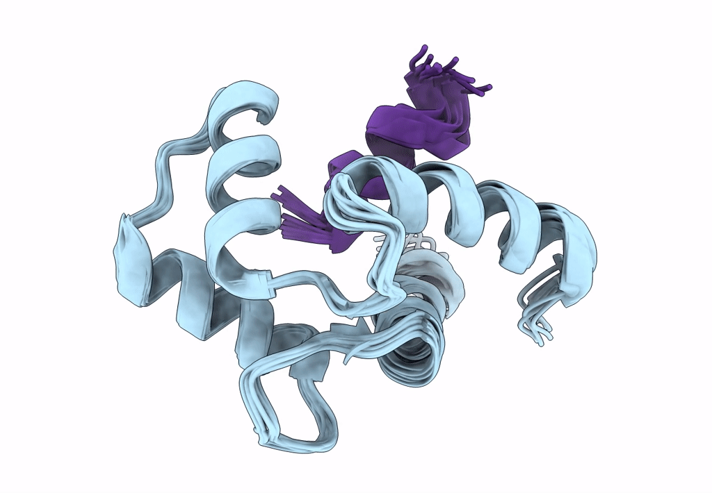 8DGK image