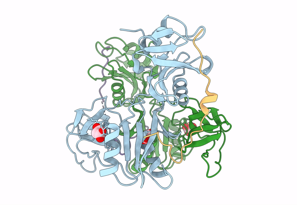 8DGQ image