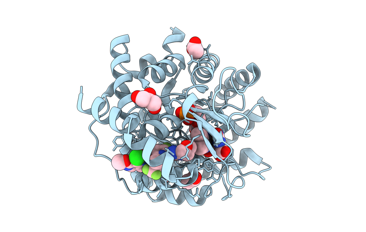 8DHH image