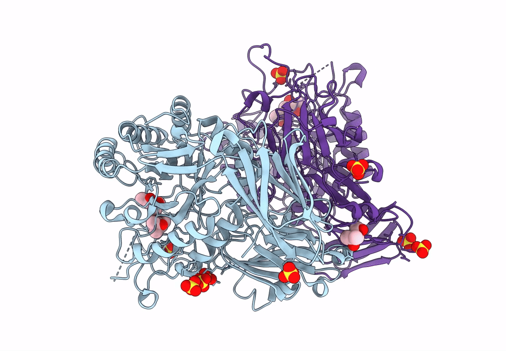 8DHV image