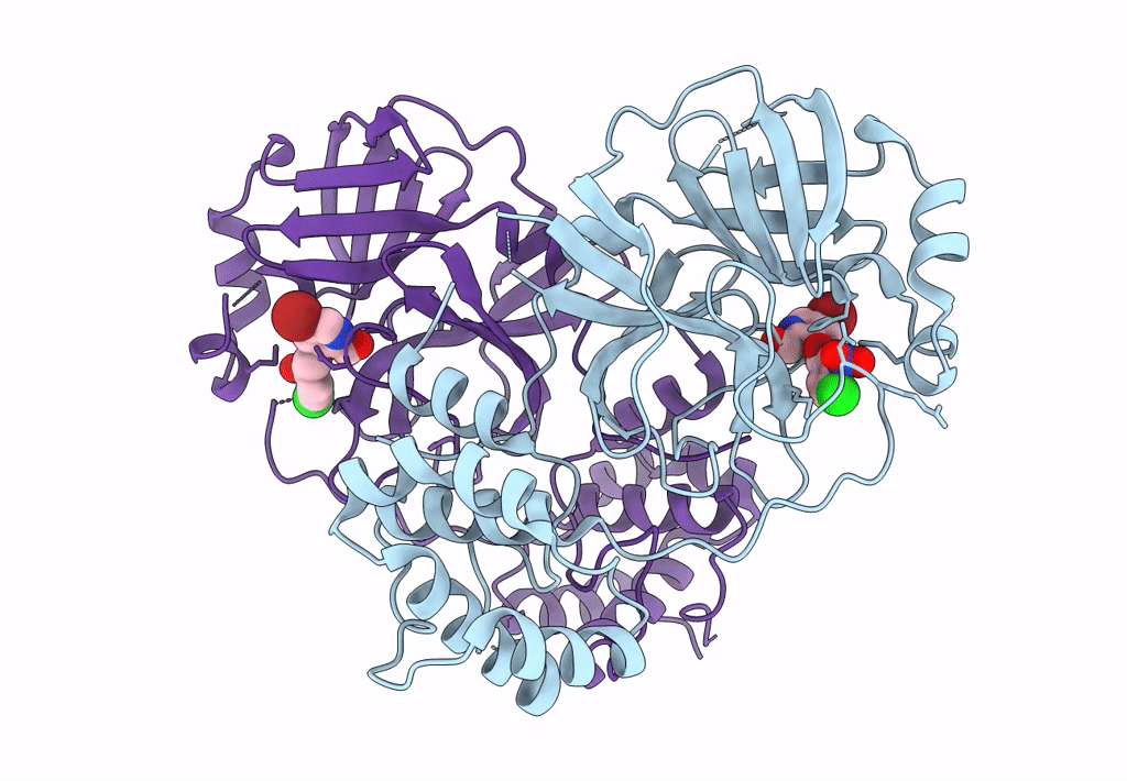 8DIB image