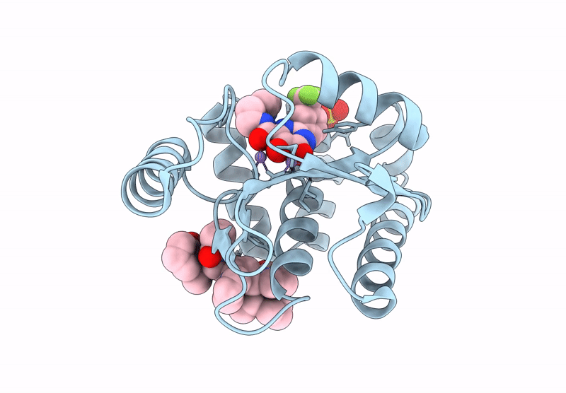 8DIP image
