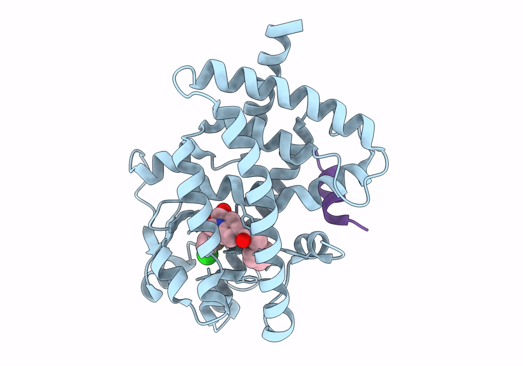 8DK4 image