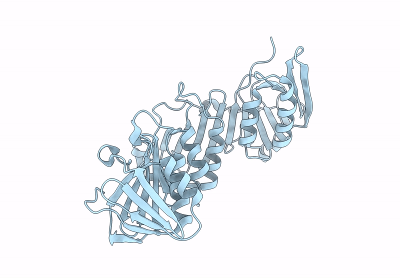 8DKD image