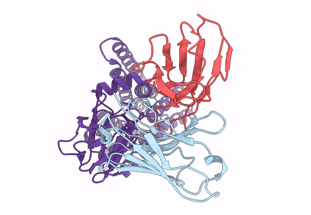 8DKI image