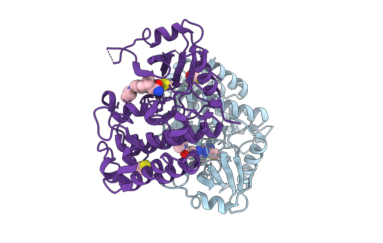 8DKS image