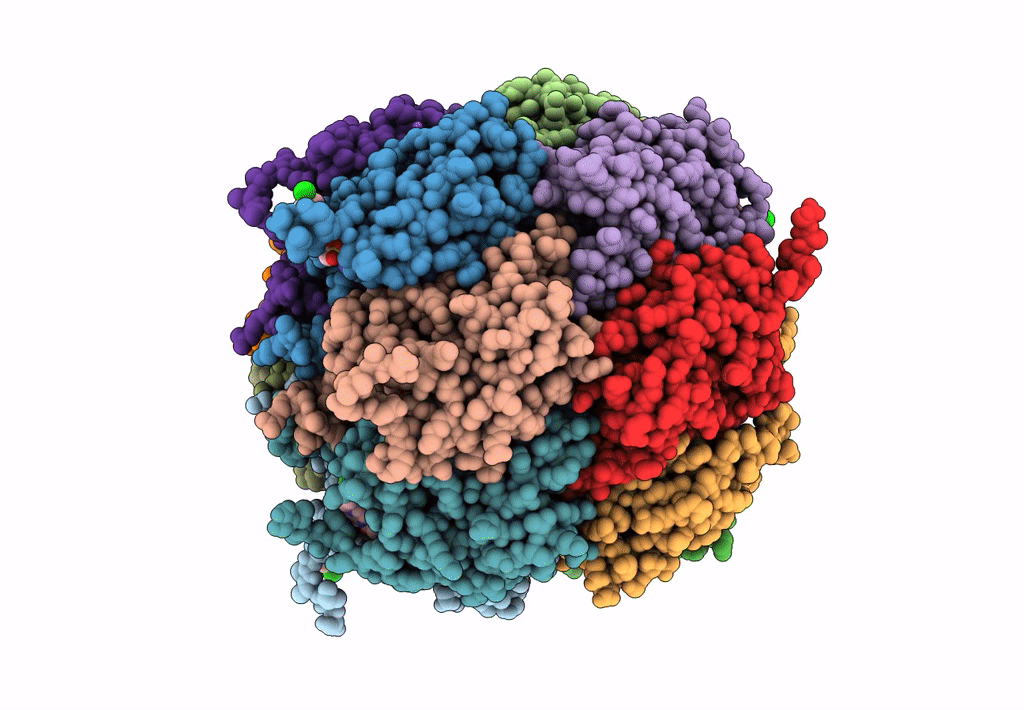 8DLA image