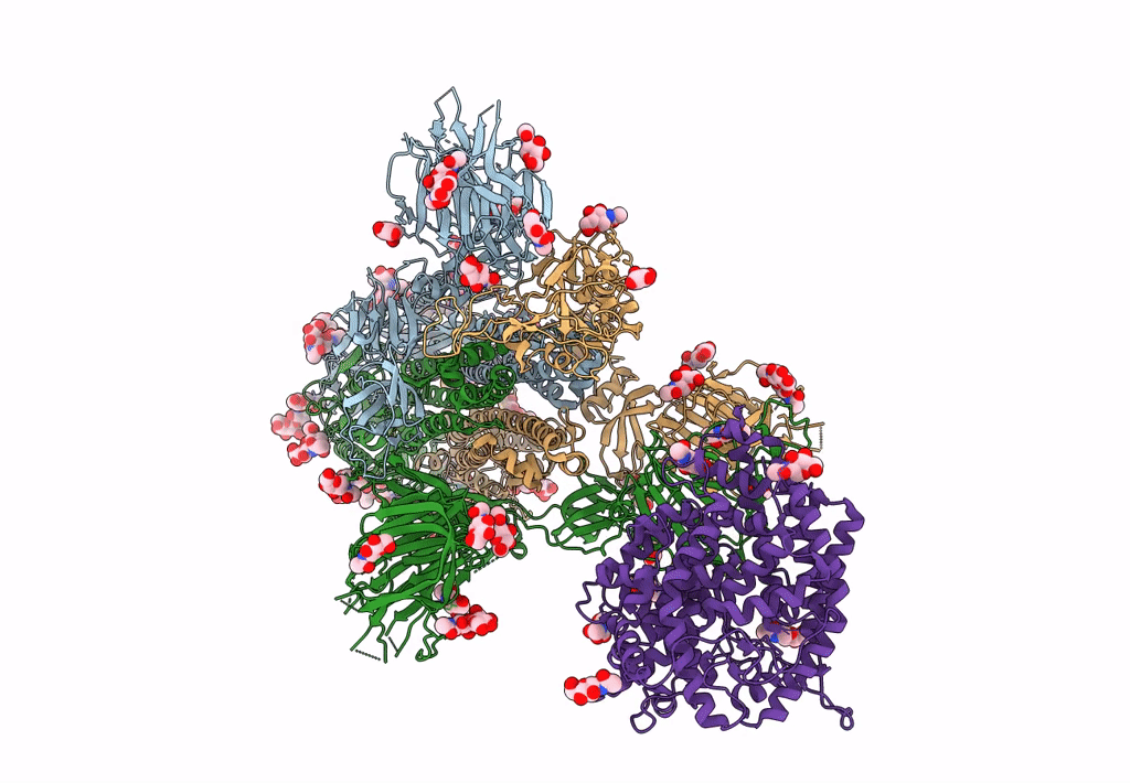 8DLJ image