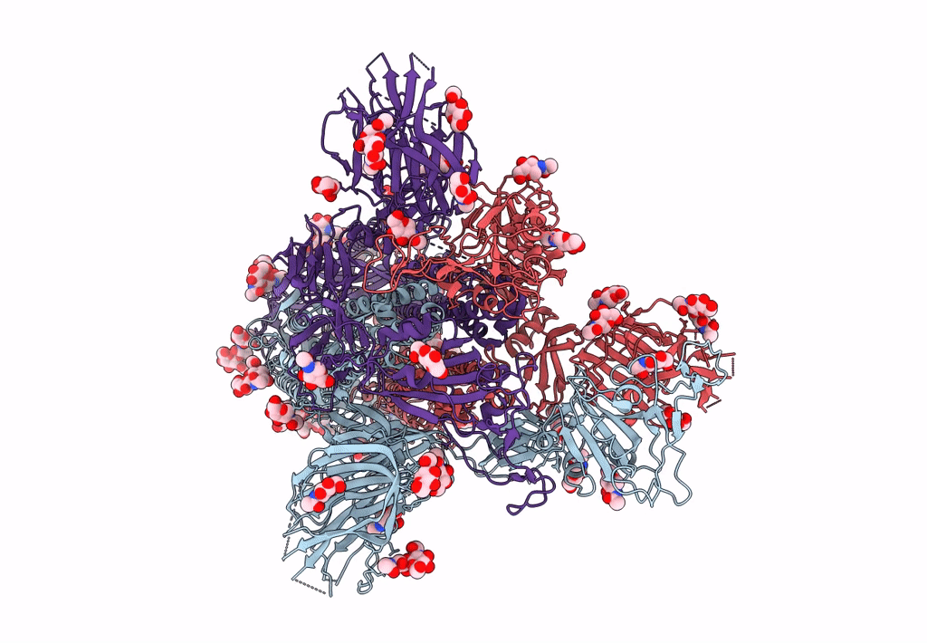 8DLT image