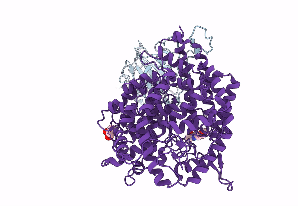 8DM8 image
