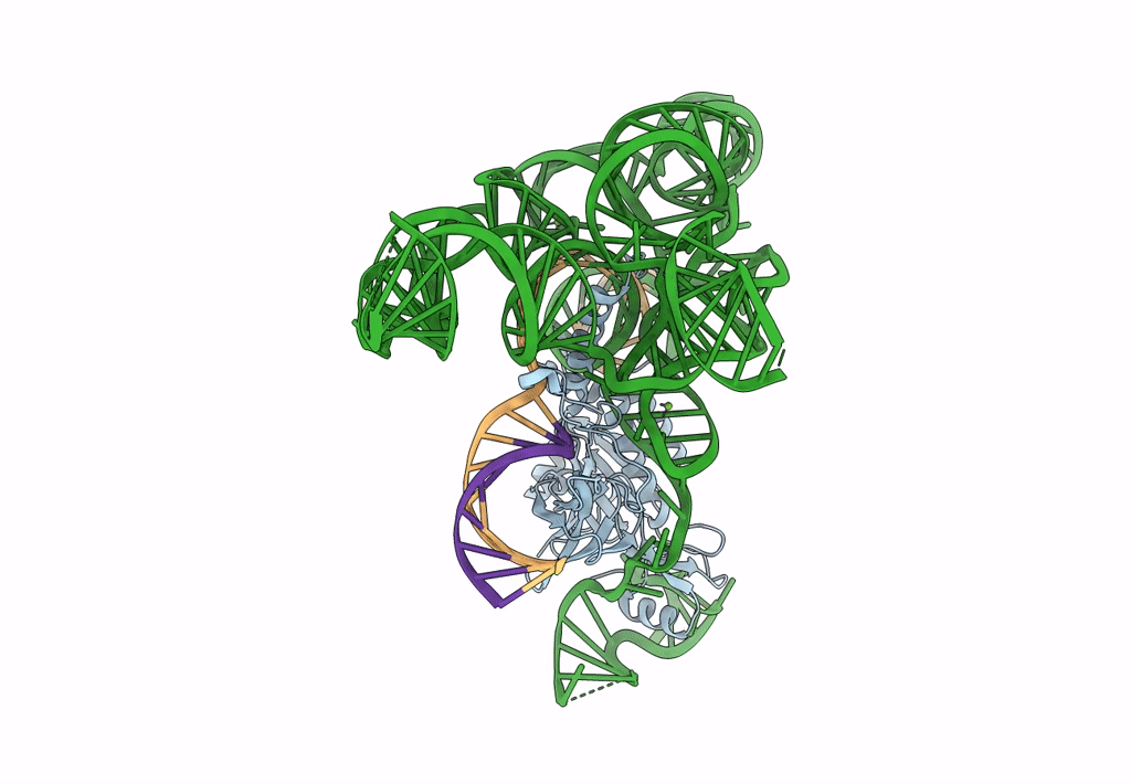 8DMB image