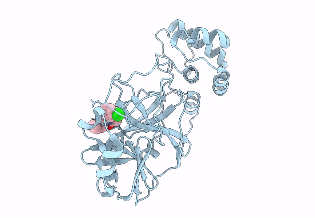 8DMD image