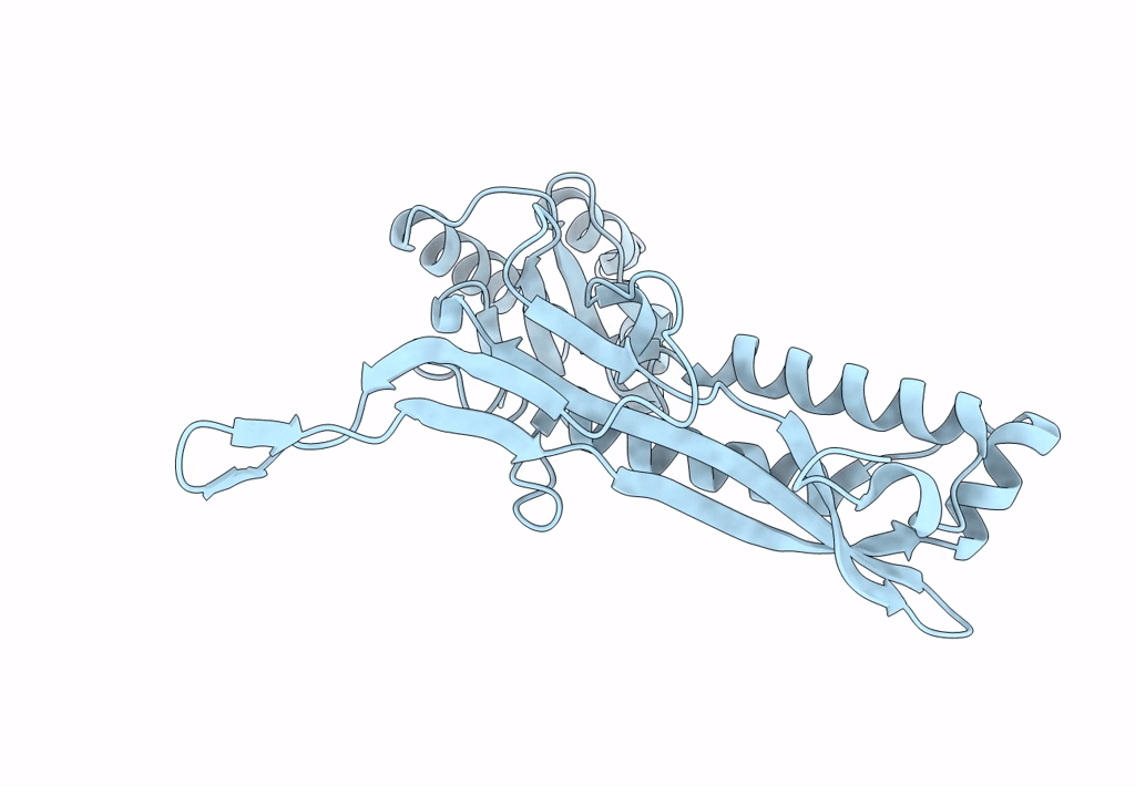 8DNA image