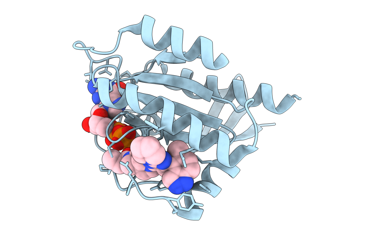 8DNI image