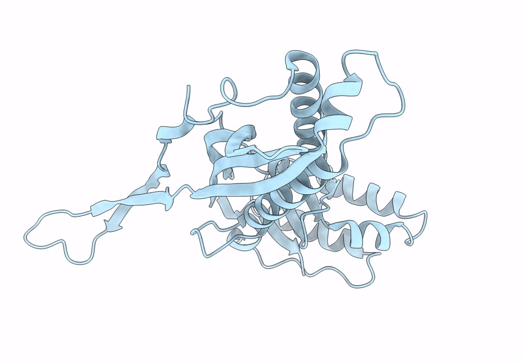 8DNL image