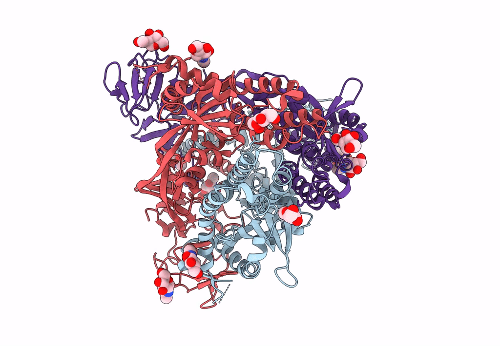 8DNR image