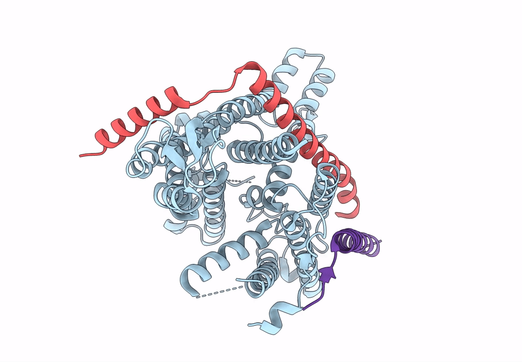8DNV image