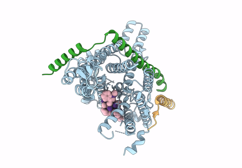 8DNX image