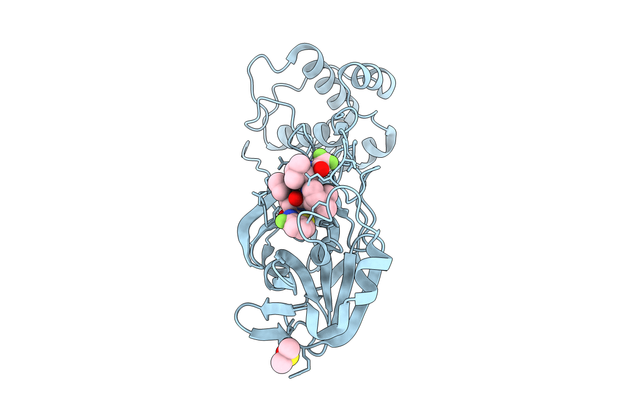 8DOX image