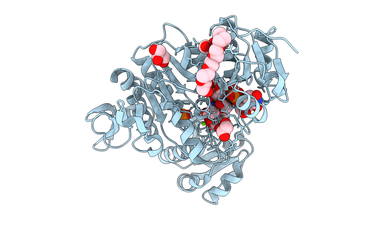 8DP2 image