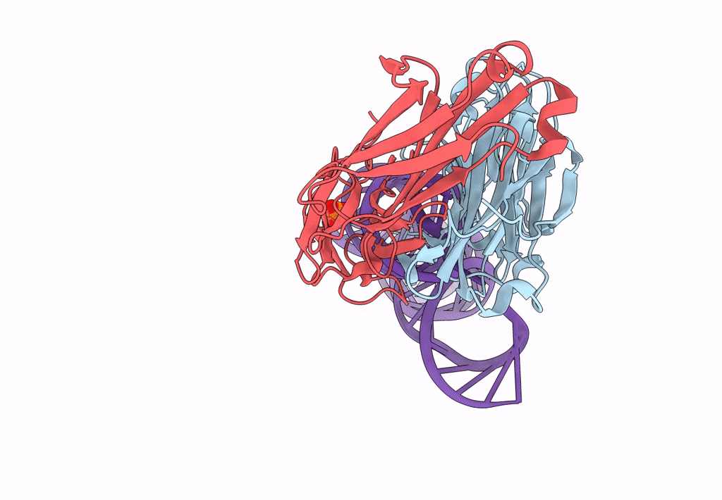 8DP3 image