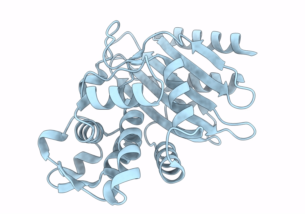 8DP4 image