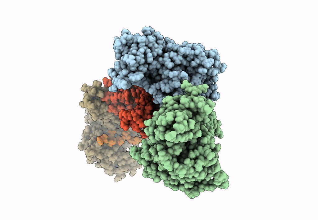 8DP5 image