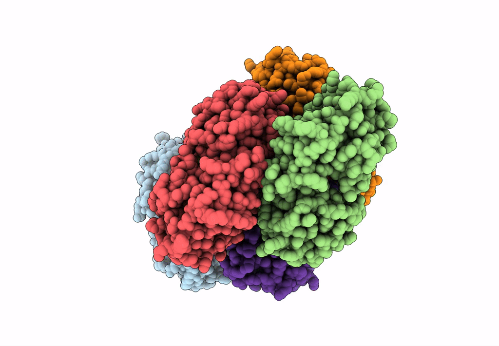 8DP7 image