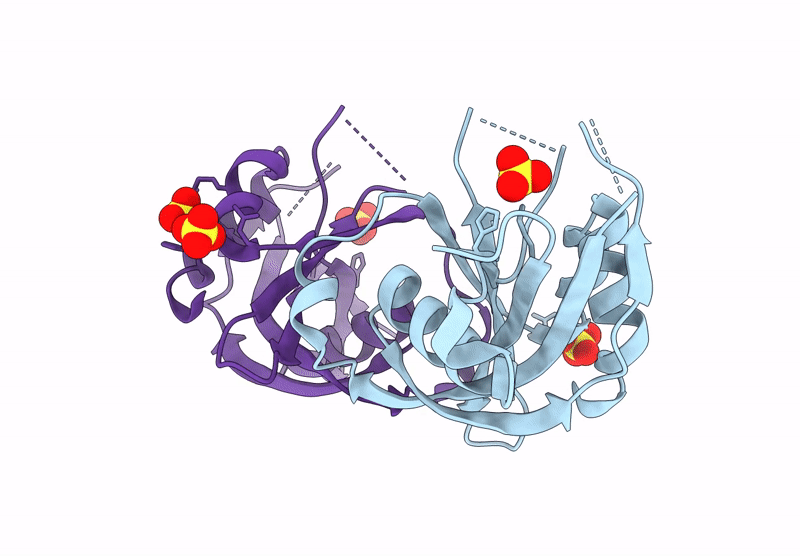 8DP9 image
