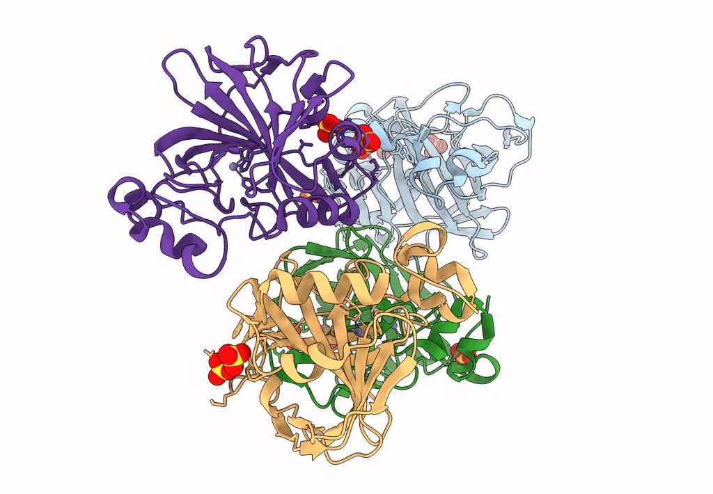 8DPC image