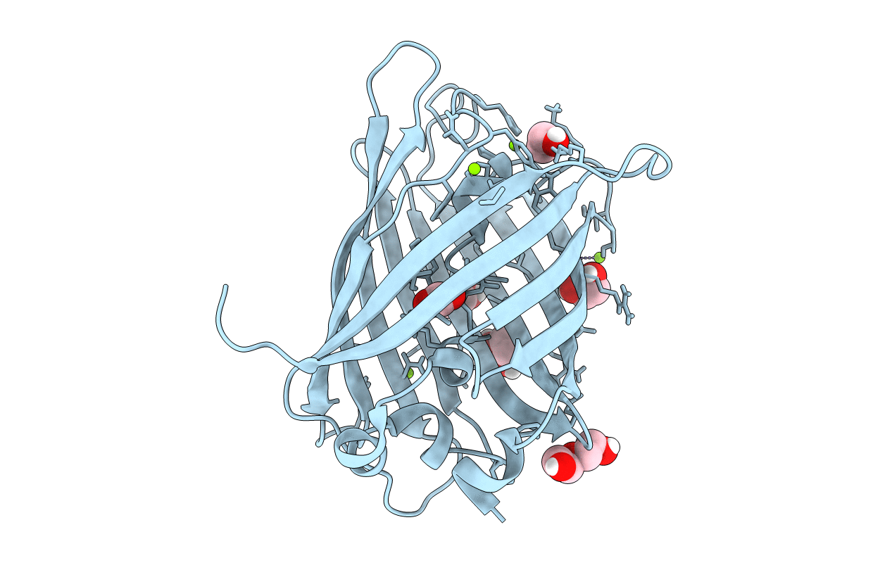 8DPD image