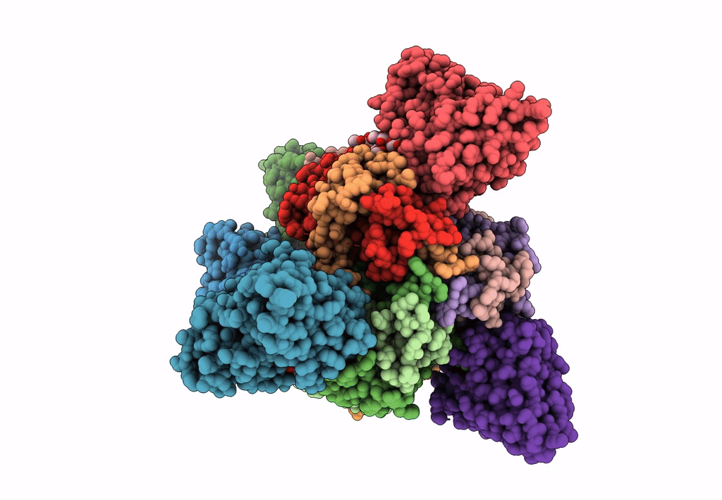 8DPL image