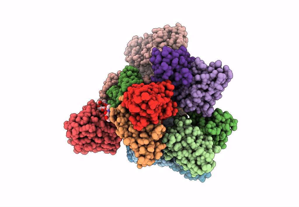 8DPM image