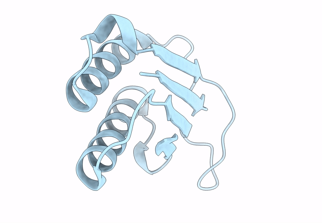 8DQA image