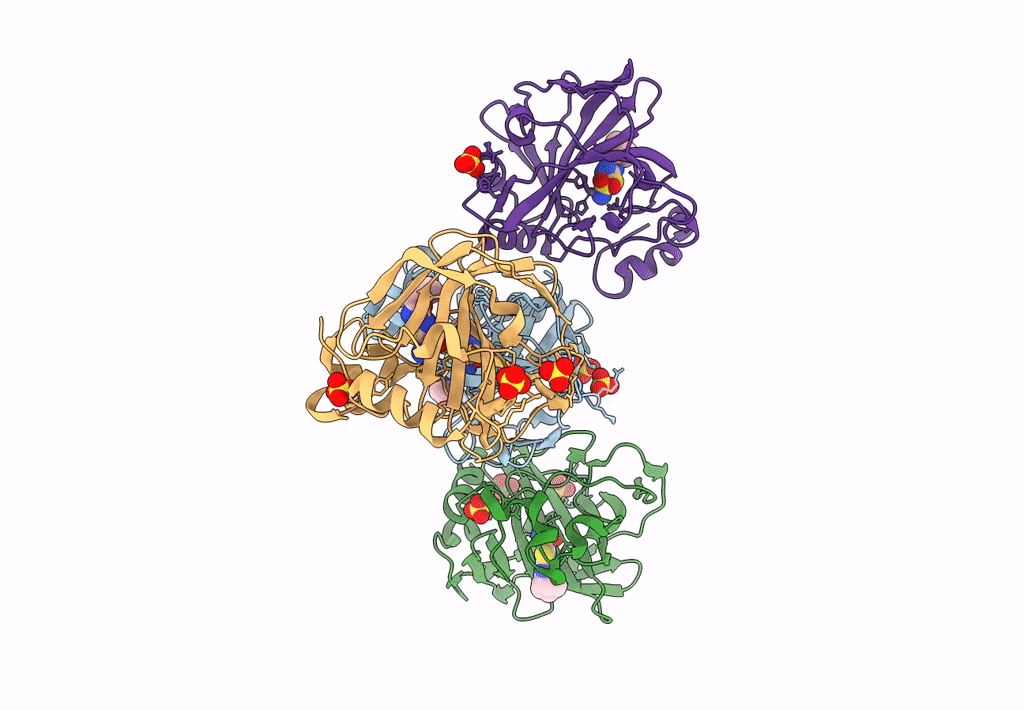 8DQF image