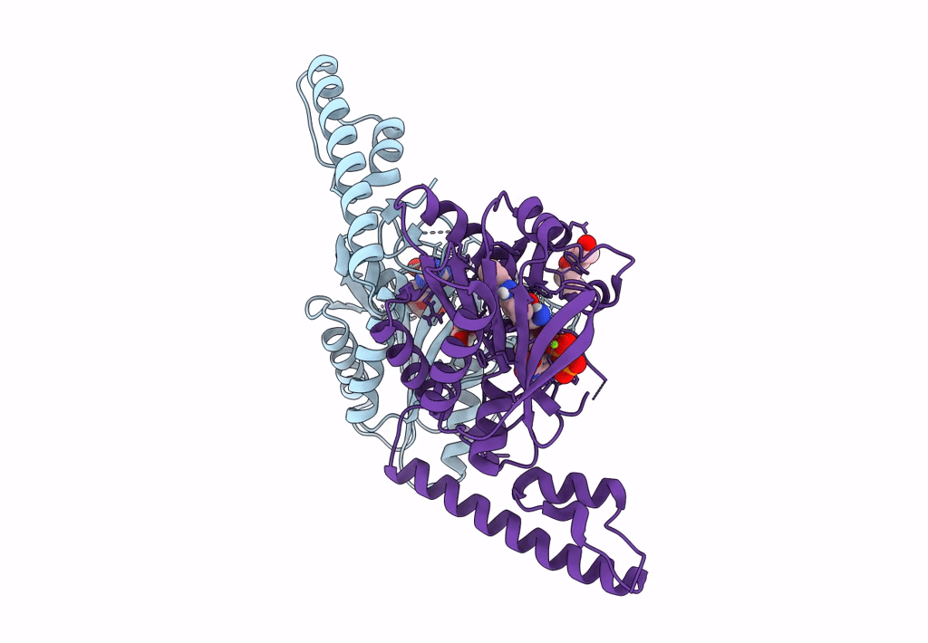 8DQI image