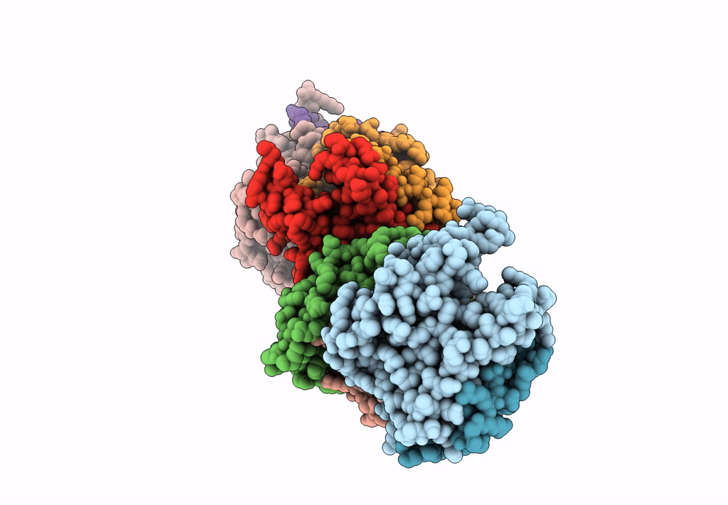 8DQM image