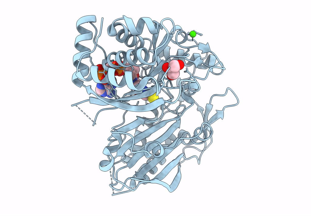 8DQR image