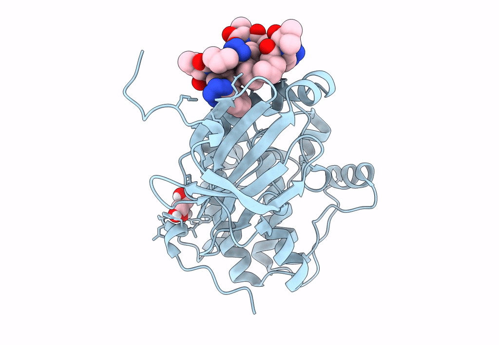 8DQT image