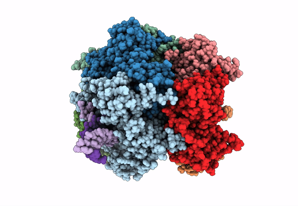 8DR1 image