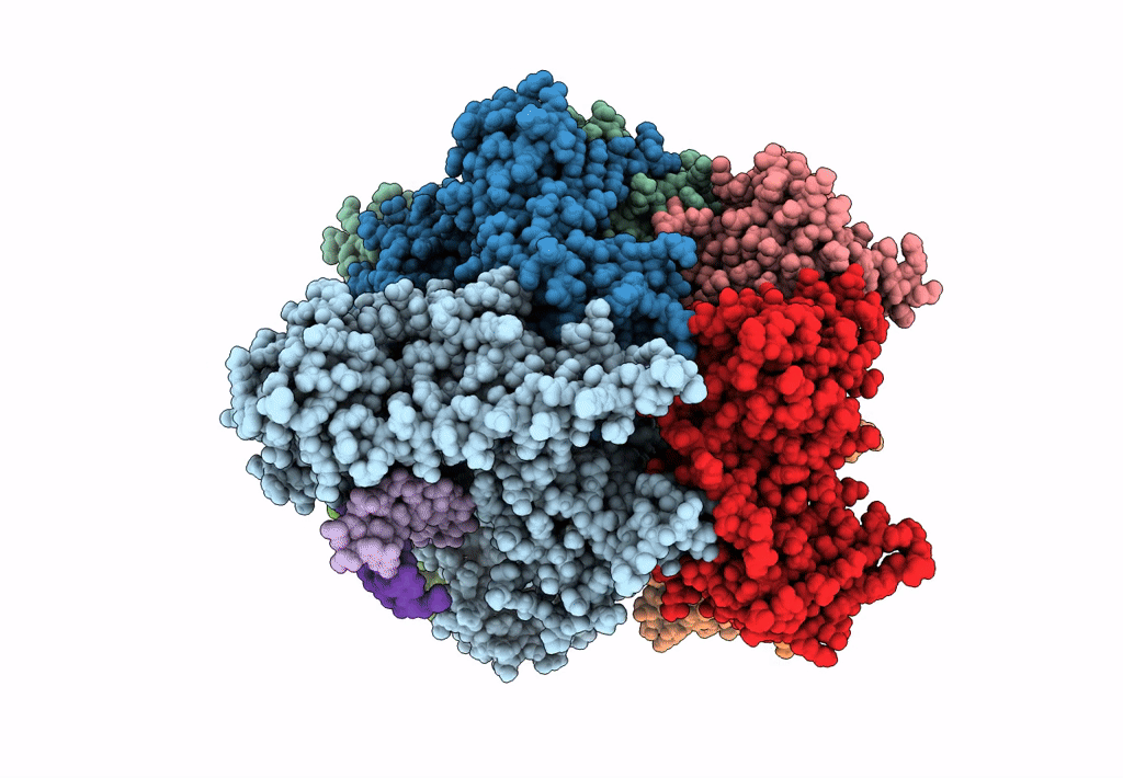 8DR5 image