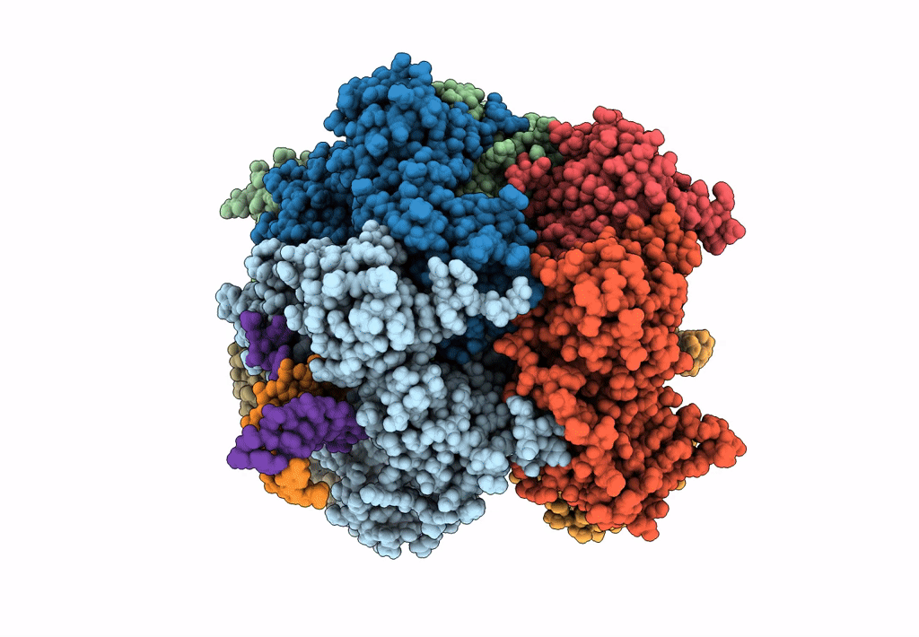 8DR6 image