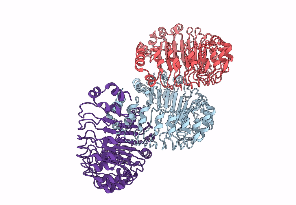 8DRA image