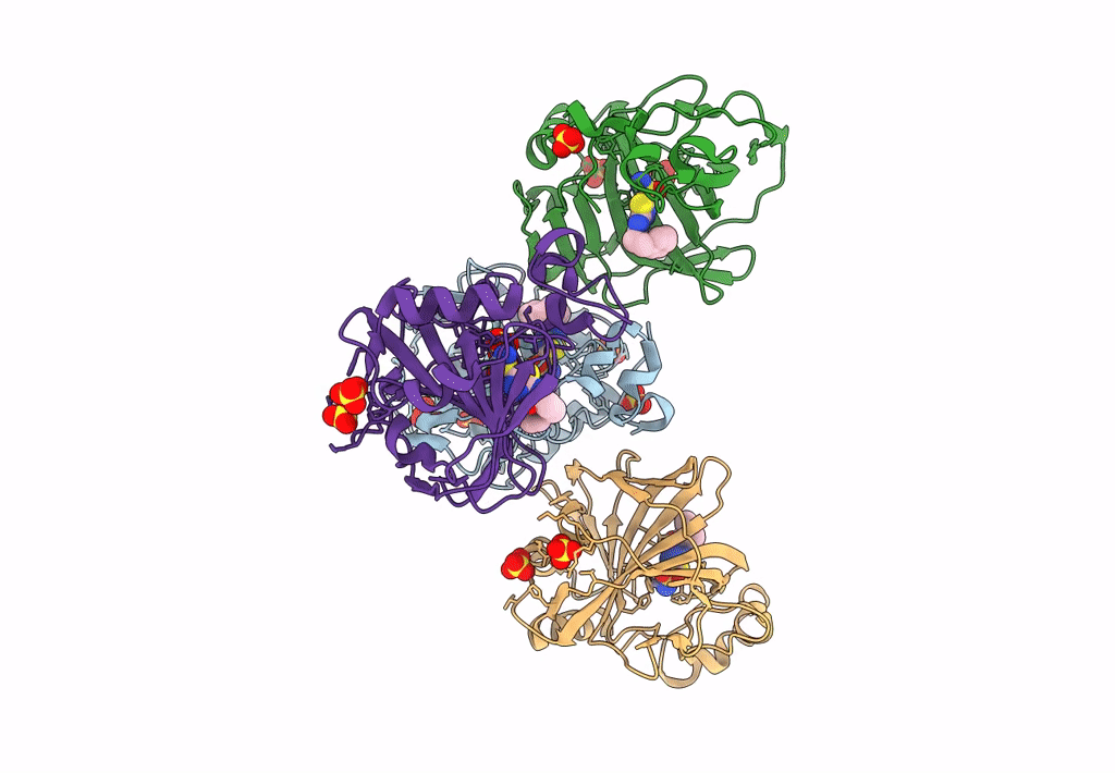 8DRB image