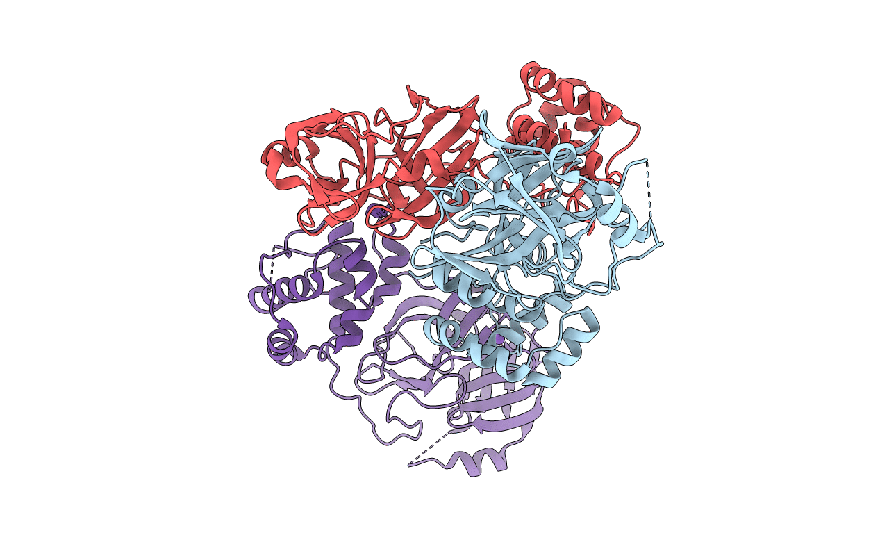 8DRR image
