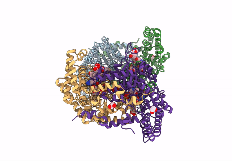 8DSK image