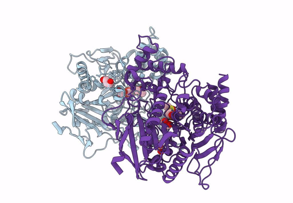8DT2 image