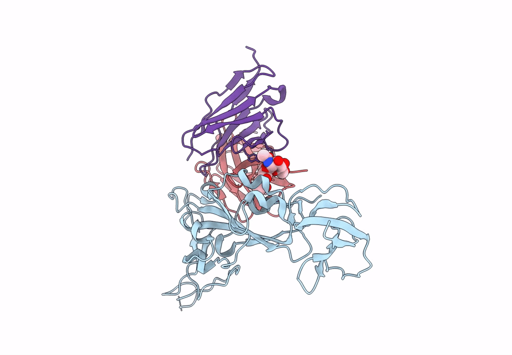8DT3 image