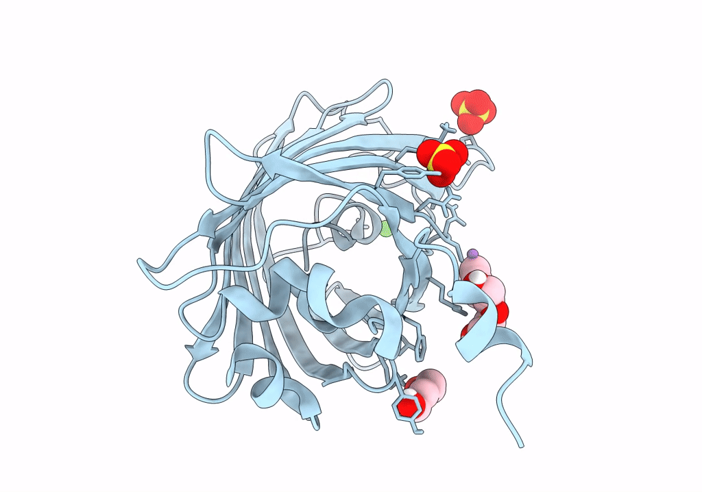 8DTA image