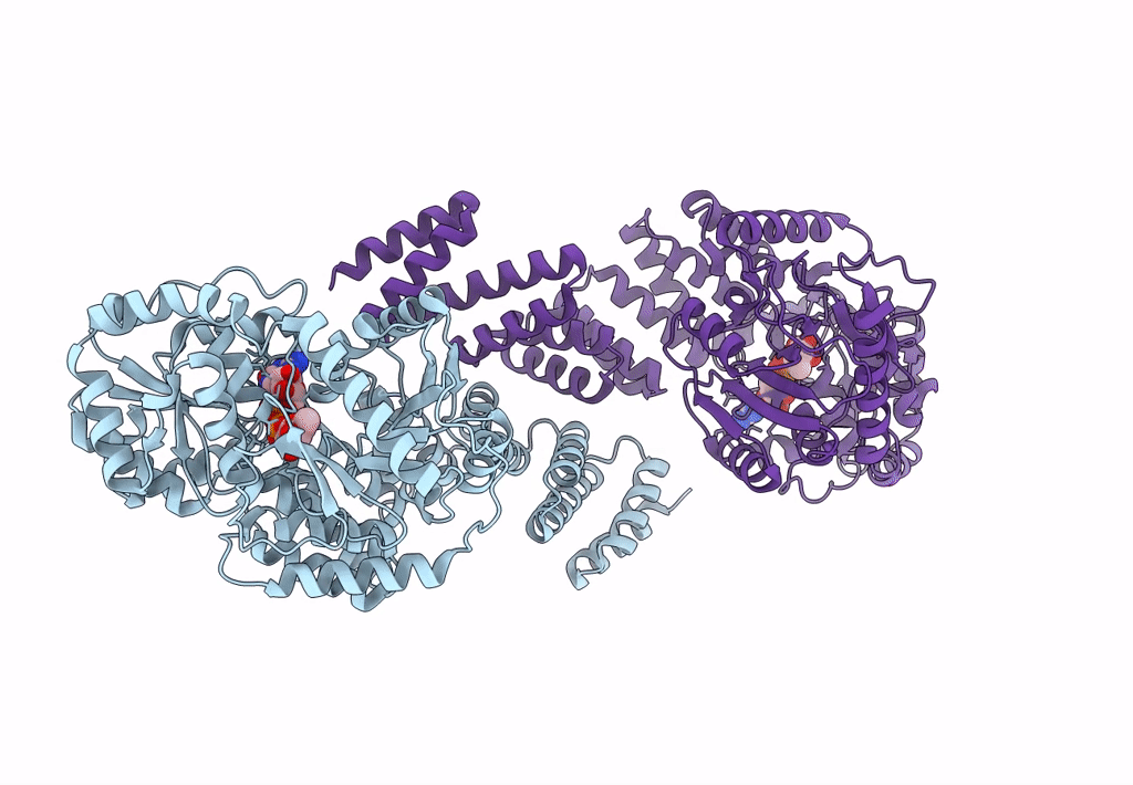8DTI image